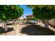 Lush backyard with mature fruit trees, a cozy gazebo, and a sparkling pool, creating a peaceful retreat at 1532 N Ogden --, Mesa, AZ 85205