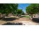 Spacious backyard with mature fruit trees, a tranquil pool view, and lush landscaping, ideal for outdoor enjoyment at 1532 N Ogden --, Mesa, AZ 85205