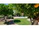 Serene backyard featuring mature fruit trees, lush lawn, and glimpses of the refreshing pool area at 1532 N Ogden --, Mesa, AZ 85205