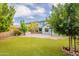 Expansive backyard with artificial turf, a patio, and mature landscaping, providing a serene outdoor escape at 1634 W Red Bird Rd, Phoenix, AZ 85085