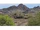 Picture of mountain landscaping in desert community at 1720 E Thunderbird Rd # 2087, Phoenix, AZ 85022