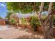 Private backyard featuring mature trees, colorful flowers, and a charming birdbath for a peaceful retreat at 17224 N Zuni Trl, Surprise, AZ 85374