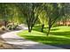 Picturesque community walking path winding through lush green lawns and shade trees on a sunny day at 25935 W Potter Dr, Buckeye, AZ 85396