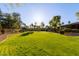 Lush backyard with manicured lawn and mature landscaping, perfect for outdoor activities at 2641 E Birchwood Pl, Chandler, AZ 85249