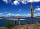 Scenic desert landscape view of the lake with mountains in the distance with lush cactus in the foreground at 26879 N 100Th Ln, Peoria, AZ 85383