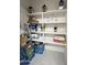 Pantry with white shelves holding paper towels, cleaning products, and other household items at 27636 W Runion Dr, Buckeye, AZ 85396
