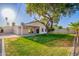 Large, flat backyard with mature trees, lush lawn and covered patio, perfect for recreation at 4205 N 19Th Pl, Phoenix, AZ 85016