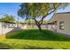 Spacious backyard featuring a lush lawn, mature tree, covered patio, and block wall at 4205 N 19Th Pl, Phoenix, AZ 85016