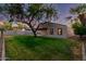 Expansive backyard featuring a lush lawn, mature tree, covered patio, and block wall at 4205 N 19Th Pl, Phoenix, AZ 85016