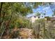 Lush backyard with cacti, plants, a stone path, and an exterior view of the home at 55 E Pierson St, Phoenix, AZ 85012