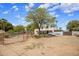 Spacious backyard featuring mature tree, privacy fence and potential for outdoor activities and relaxation at 55 E Pierson St, Phoenix, AZ 85012