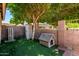 Backyard with doghouse, air conditioner and mature trees at 6631 E Rhodes St, Mesa, AZ 85215