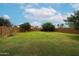 Large backyard features well-maintained lawn and mature trees, offering a private outdoor retreat at 17681 W Molly Ln, Surprise, AZ 85387