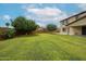 Spacious backyard featuring a lush green lawn, mature trees, and a private fence, ideal for outdoor enjoyment at 17681 W Molly Ln, Surprise, AZ 85387