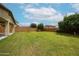 Expansive backyard featuring lush green grass and privacy fence, ideal for outdoor activities at 17681 W Molly Ln, Surprise, AZ 85387