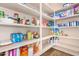 A walk in pantry offering shelves stocked with food items and household supplies at 18226 W Marshall Ct, Litchfield Park, AZ 85340