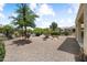 Desert-landscaped backyard with mature trees and shrubs, enclosed by a dark metal fence at 20140 N 269Th Dr, Buckeye, AZ 85396