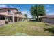 Backyard boasting a large grassy area, mature trees, a covered patio, and privacy fencing at 2307 W Sienna Bouquet Pl, Phoenix, AZ 85085