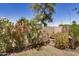 Secluded backyard featuring vibrant flowers and a charming fountain, great for relaxing at 2727 S 160Th Ln, Goodyear, AZ 85338