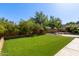 Spacious backyard featuring green grass and manicured landscaping at 3203 E Ellis St, Mesa, AZ 85213