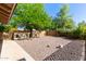 Spacious backyard featuring gravel landscaping, mature trees, and a shed at 3203 E Ellis St, Mesa, AZ 85213