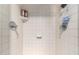 Shower stall with tiled walls and two shower heads at 3203 E Ellis St, Mesa, AZ 85213