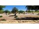 A view of a neighborhood park including mature trees, walking paths, and open space at 6191 S Pearl Dr, Chandler, AZ 85249