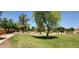 Scenic community park with lush green grass, mature trees, and walking paths for outdoor enjoyment and recreation at 6191 S Pearl Dr, Chandler, AZ 85249