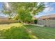 Private backyard featuring fresh grass, mature trees, and block fencing providing ample space for recreation at 824 W Mesquite St, Gilbert, AZ 85233
