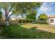 Expansive backyard featuring manicured lawn, mature trees, and privacy walls, perfect for entertaining at 824 W Mesquite St, Gilbert, AZ 85233