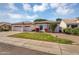 Well-manicured front yard with lush grass and low maintenance desert landscaping creating curb appeal at 824 W Mesquite St, Gilbert, AZ 85233