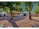 Spacious backyard with trees and covered patio at 14215 N 36Th Way, Phoenix, AZ 85032