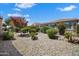 Landscaped backyard featuring decorative rock ground cover and flowering trees, enclosed with a sleek, black metal fence at 26456 W Cat Balue Dr, Buckeye, AZ 85396