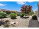 Well-maintained backyard featuring decorative rocks, lush greenery, and a black metal fence, providing a private outdoor space at 26456 W Cat Balue Dr, Buckeye, AZ 85396