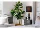 Bedroom details highlighting the stylish nightstand with modern lamp and a large houseplant at 4220 N 32Nd St # 7, Phoenix, AZ 85018