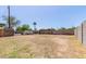 Expansive backyard space with a sturdy fence, ideal for a pet-friendly home at 452 S Horne --, Mesa, AZ 85204
