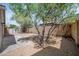Spacious backyard with desert landscaping, block fence, and mature trees offering shade at 6335 E Brown Rd # 1065, Mesa, AZ 85205