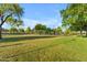 Scenic community park with lush green grass, mature trees, and walking paths for recreation and relaxation at 13304 W Palo Verde Dr, Litchfield Park, AZ 85340