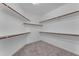 Walk-in closet that has shelves on the sides and carpet flooring at 13304 W Palo Verde Dr, Litchfield Park, AZ 85340