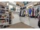 Organized walk-in closet with shelves, hanging racks, and carpet, perfect for storage and wardrobe at 1356 E Flamingo Ct, Gilbert, AZ 85297