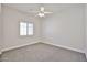 Bright bedroom featuring a ceiling fan, neutral carpet, and plantation shutters on the window at 15731 W Redfield Rd, Surprise, AZ 85379