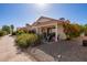 Inviting backyard featuring a covered patio and beautiful landscaping with a stone path at 1803 E Palm Beach Dr, Chandler, AZ 85249