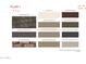 Exterior color and materials selection scheme with paint colors for stucco, trim, and other elements at 2469 W Rowel Rd, Phoenix, AZ 85085