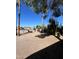 View of desert backyard with gravel and mature cactus at 2853 W Ohio St, Apache Junction, AZ 85120