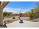 Landscaped backyard featuring desert plants, a rock garden, and a private outdoor space at 4207 E Rockledge Rd, Phoenix, AZ 85044