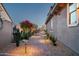 Charming backyard pathway with desert landscaping and accent lighting at 9865 E Piedra Dr, Scottsdale, AZ 85255