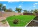 Beautiful backyard with green grass, large block wall, and plants on a sunny day at 10152 E Knowles Ave, Mesa, AZ 85209