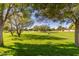 Picturesque park with expansive green space, mature trees providing shade, and a sense of peacefulness and tranquility at 104 E Louis Way, Tempe, AZ 85284