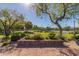 Serene park showcasing lush greenery, mature trees, and well-maintained landscaping, creating a tranquil outdoor escape at 104 E Louis Way, Tempe, AZ 85284