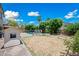 Expansive backyard features a swimming pool, outdoor seating, playhouse and lush landscaping at 11785 N 143Rd Dr, Surprise, AZ 85379